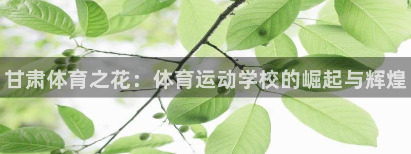 欧亿体育官方正版app集团简介：甘肃体育之花：体育运