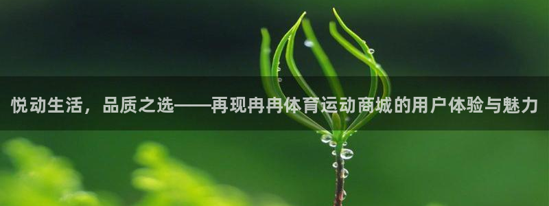 欧亿体育官方正版app开户：悦动生活，品质之选——再现冉冉体