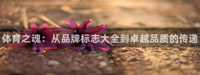 欧亿体育官方正版app官方：体育之魂：从品牌标志大全