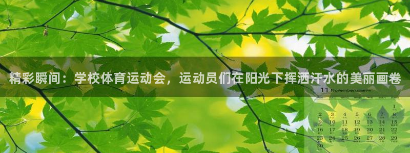 oety欧亿体育官网下载平台是正规平台吗：精彩瞬间：