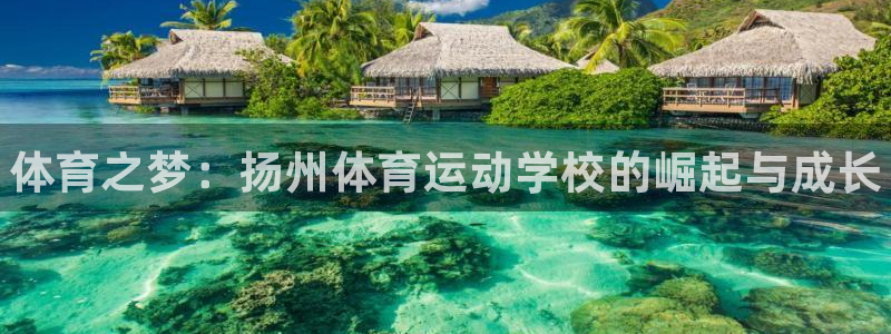 欧亿体育官方正版app娱乐代理怎么样：体育之梦：扬州体育运动