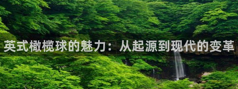 欧亿体育官方正版app娱乐首页网站大全：英式橄榄球的魅力：从