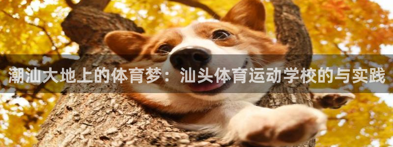 oety欧亿体育官网下载招商电话是多少啊