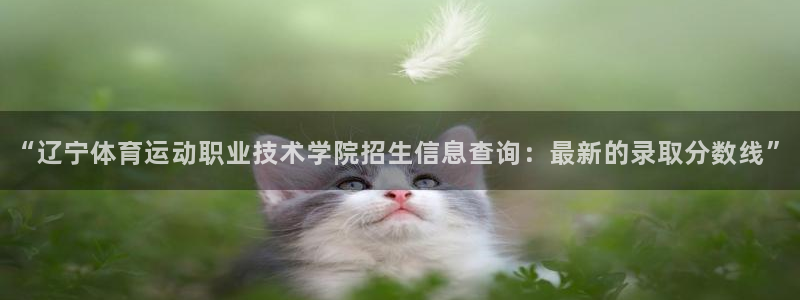 oety欧亿体育官网下载