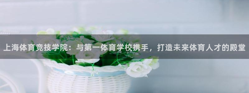 欧亿体育官方正版app新能源：上海体育竞技学院：与第一体育学