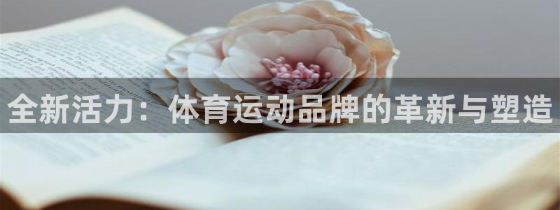 欧亿体育官方正版app官方：全新活力：体育运动品牌的革新与塑