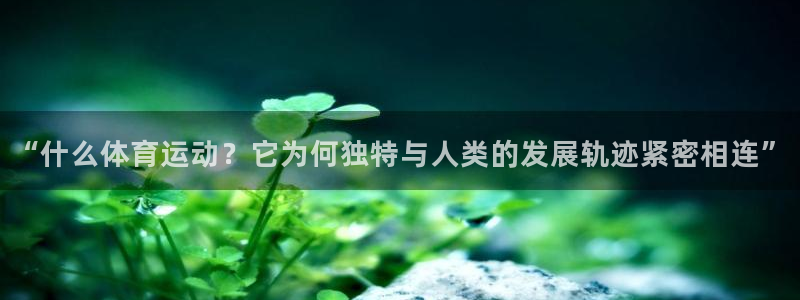 oety欧亿体育官网下载招商电话号码查询是多少：“什么体育运