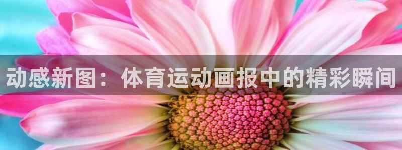 oety欧亿体育官网下载招商：动感新图：体育运动画报中的精彩