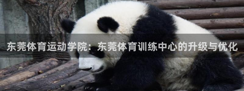 oety欧亿体育官网下载招商：东莞体育运动学院：东莞
