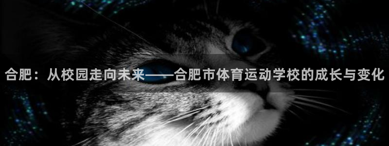 欧亿体育官方正版app娱乐是那个系列的台子：合肥：从