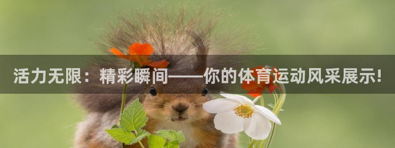 欧亿体育官方正版app官网：活力无限：精彩瞬间——你