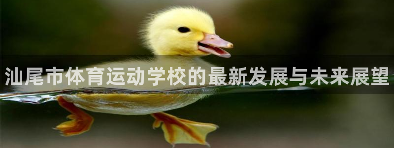 oety欧亿体育官网下载招商电话是多少啊