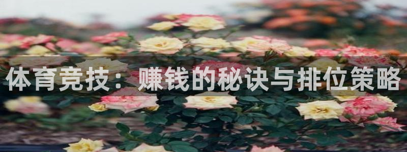 oety欧亿体育官网下载开户