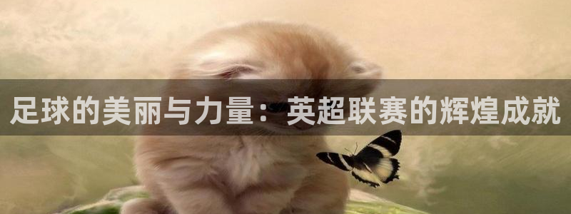  OE欧亿全站注·册：足球的美丽与力量：英超联赛的辉煌成就