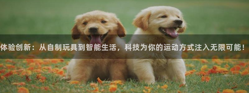 欧亿3代理：体验创新：从自制玩具到智能生活，科技为你的运动方