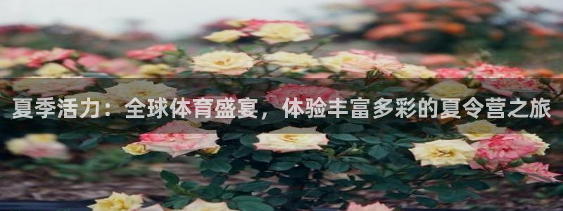 欧亿注册登录：夏季活力：全球体育盛宴，体验丰富多彩的夏令营之