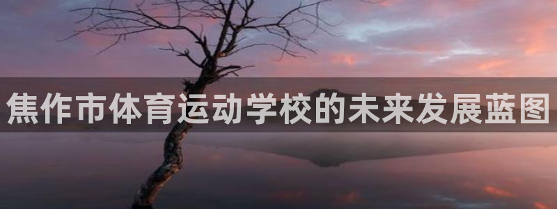  欧亿app官方下载v6.1.39：焦作市体育运动学校的未来发
