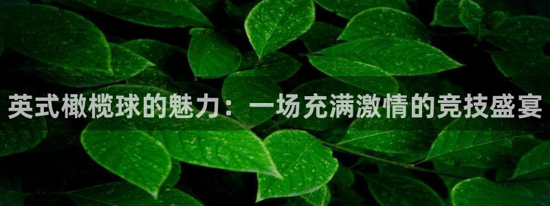 欧亿是什么平台：英式橄榄球的魅力：一场充满激情的竞技盛宴