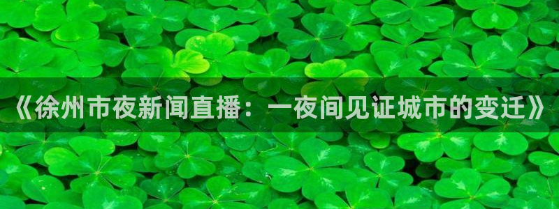 足球直播袋鼠：《徐州市夜新闻直播：一夜间见证城市的变迁》