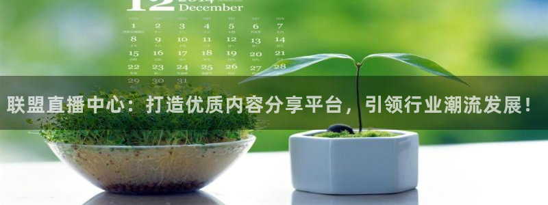 袋鼠足球免费直播：联盟直播中心：打造优质内容分享平台，引领行业潮流发展！